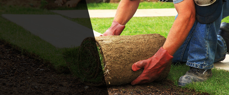 Wendell Landscapers